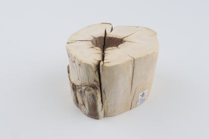 Natural mammoth tusk piece