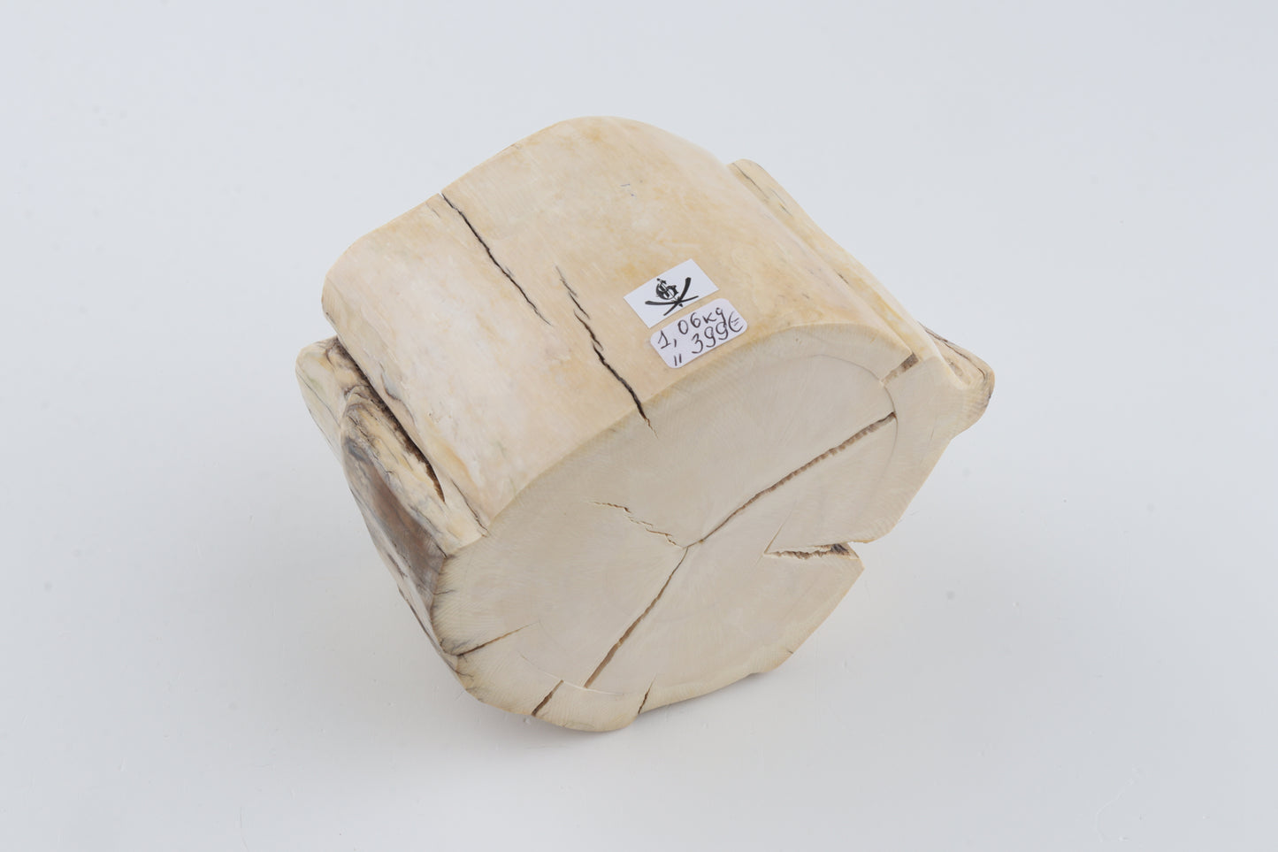 Natural mammoth tusk piece