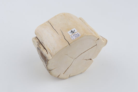 Natural mammoth tusk piece