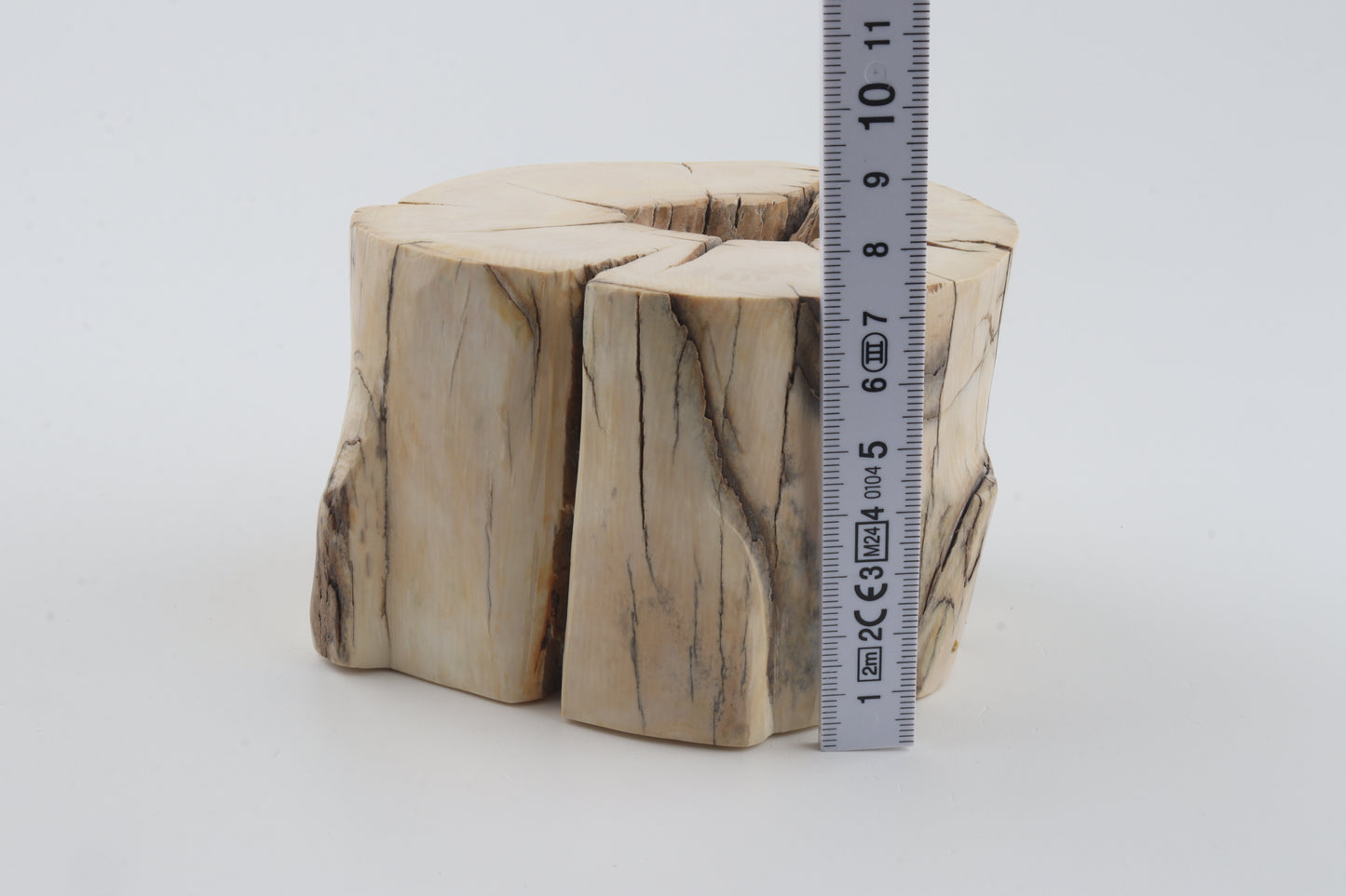 Natural mammoth tusk piece