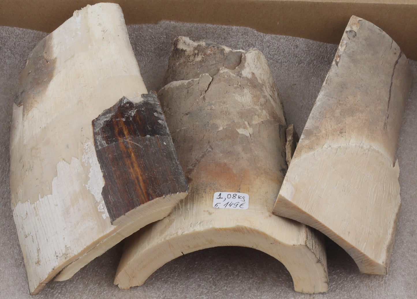 Untreated mammoth ivory pieces
