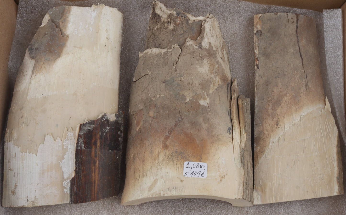 Untreated mammoth ivory pieces