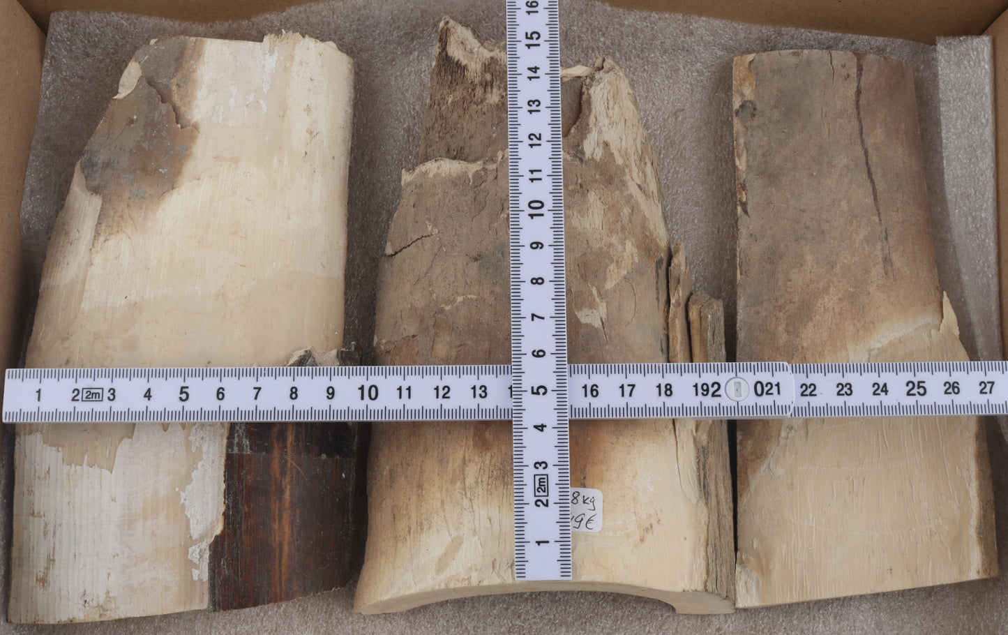 Untreated mammoth ivory pieces