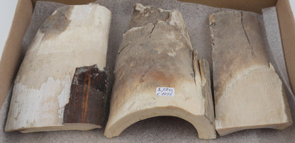 Untreated mammoth ivory pieces