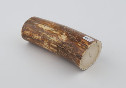 Natural mammoth ivory piece