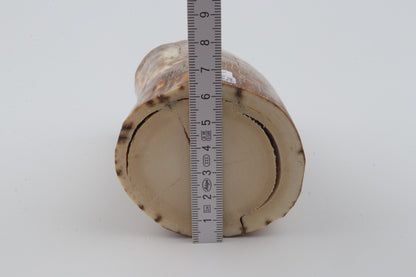 Natural mammoth ivory piece
