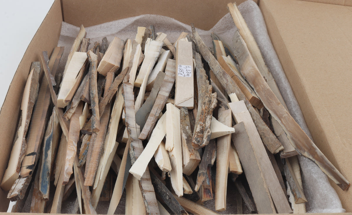 Raw mammoth ivory offcuts