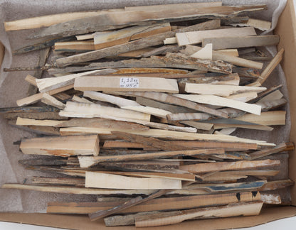 Raw mammoth ivory offcuts