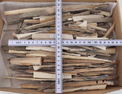 Raw mammoth ivory offcuts