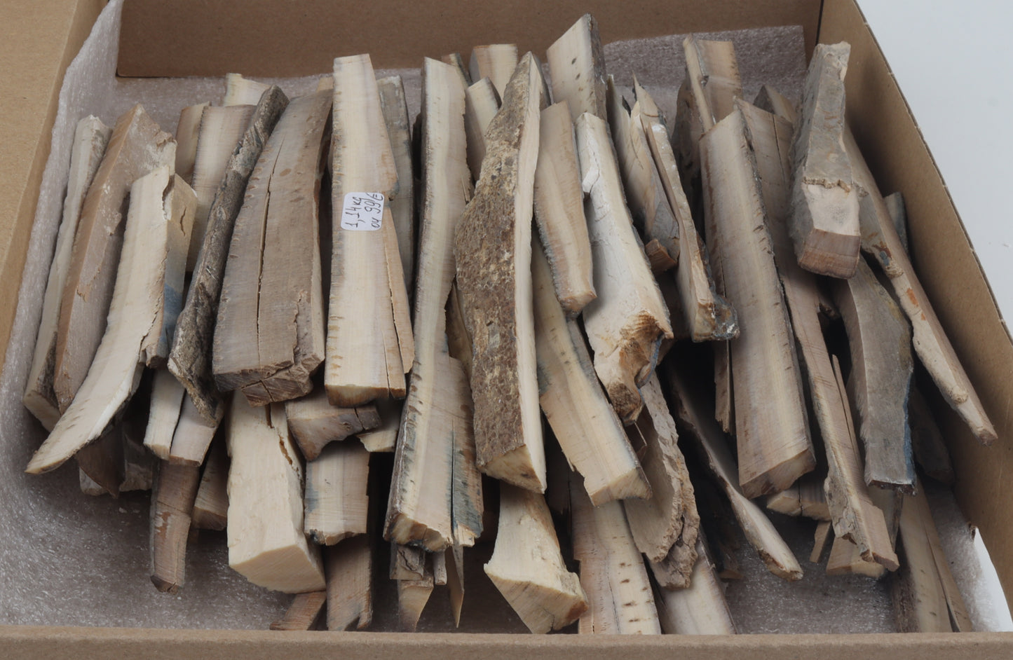 Untreated mammoth ivory offcuts