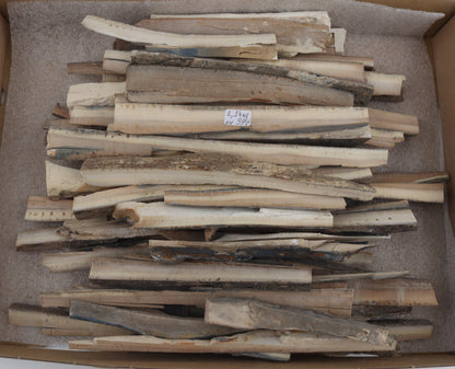 Untreated mammoth ivory offcuts