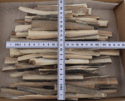Untreated mammoth ivory offcuts