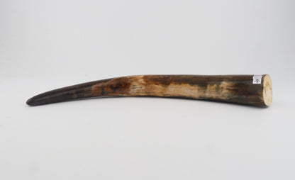 Restored mammoth tusk tip