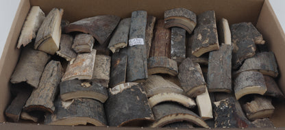 Raw woolly mammoth bark pieces