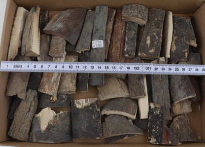 Raw woolly mammoth bark pieces