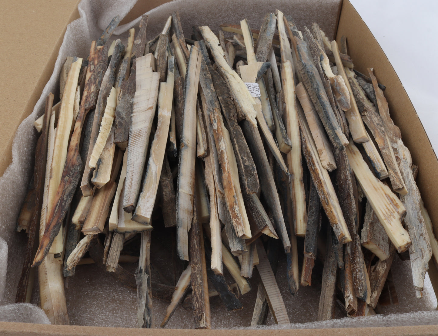 Untreated mammoth ivory offcuts