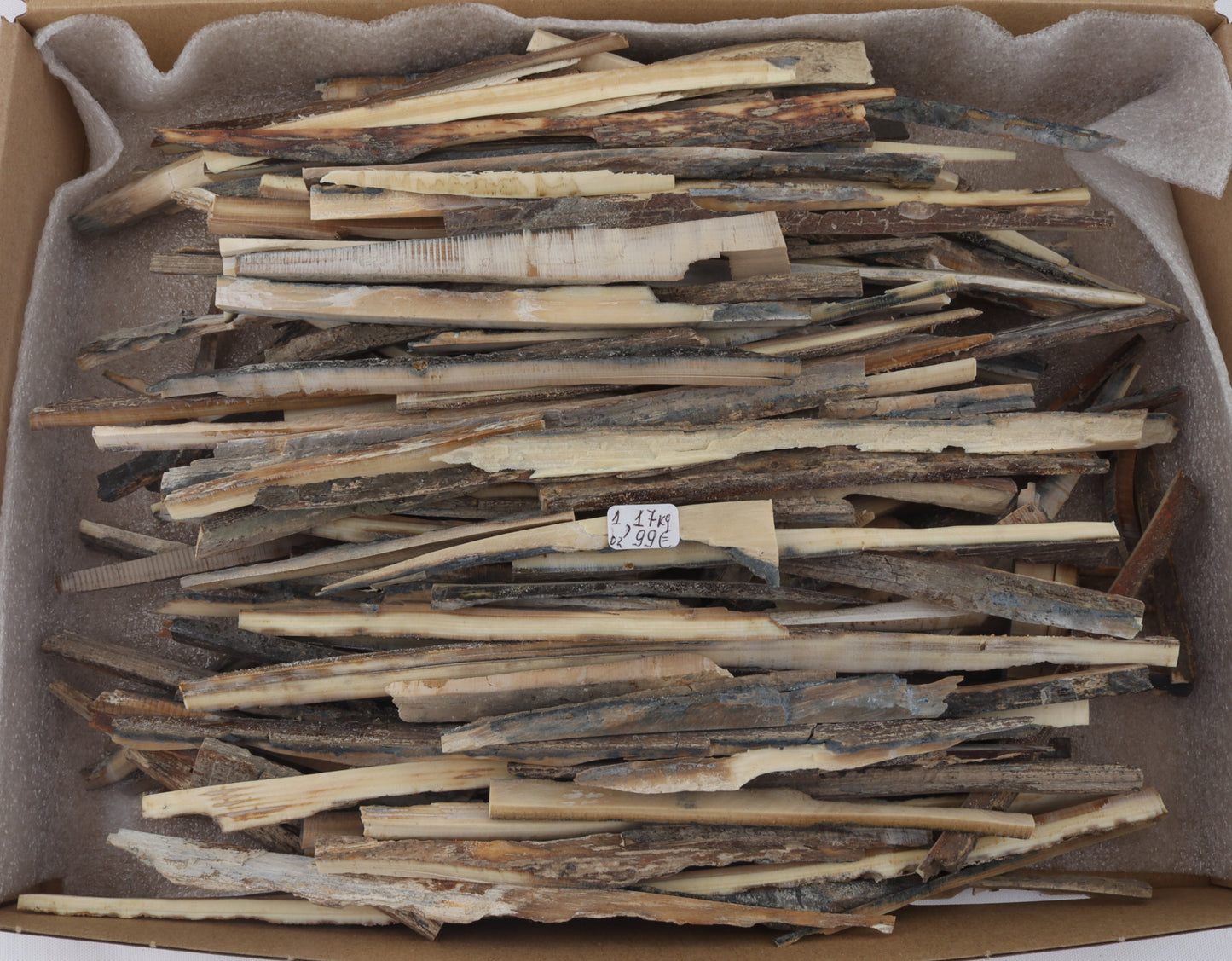 Untreated mammoth ivory offcuts