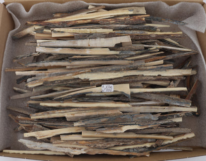 Untreated mammoth ivory offcuts