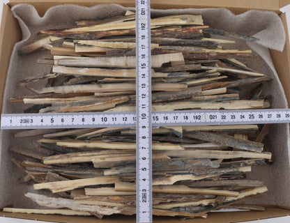 Untreated mammoth ivory offcuts