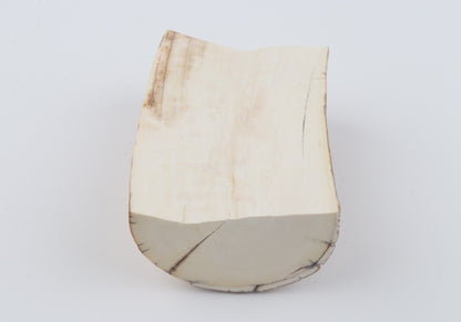 Natural mammoth tusk piece