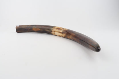 Restored woolly mammoth tusk