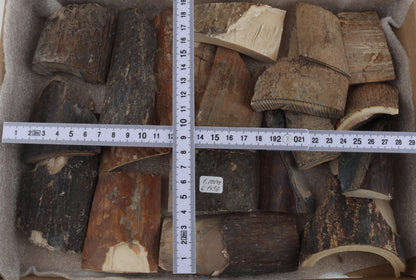 Untreated mammoth bark pieces