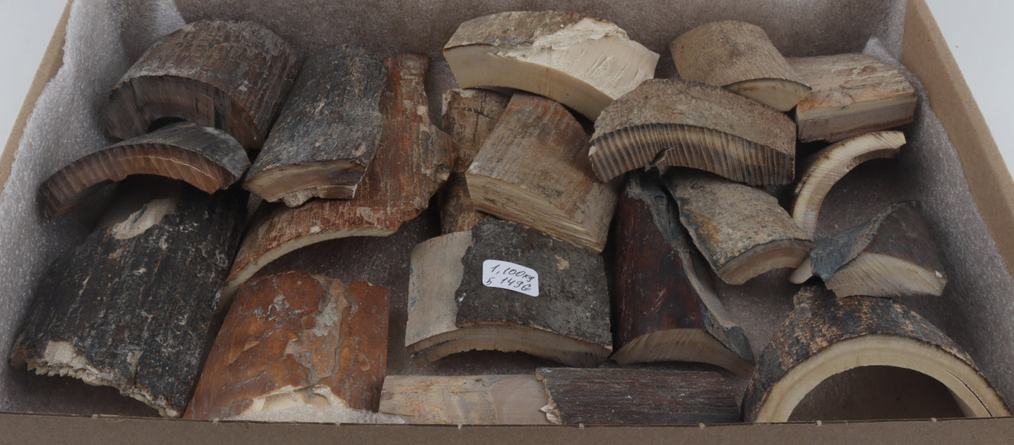 Untreated mammoth bark pieces
