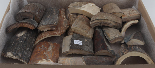 Untreated mammoth bark pieces