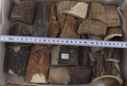 Untreated mammoth bark pieces