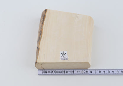 White mammoth ivory segment