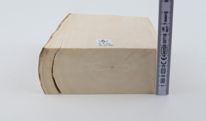 White mammoth ivory segment