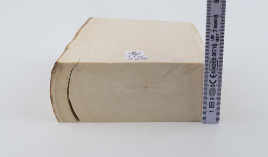 White mammoth ivory segment