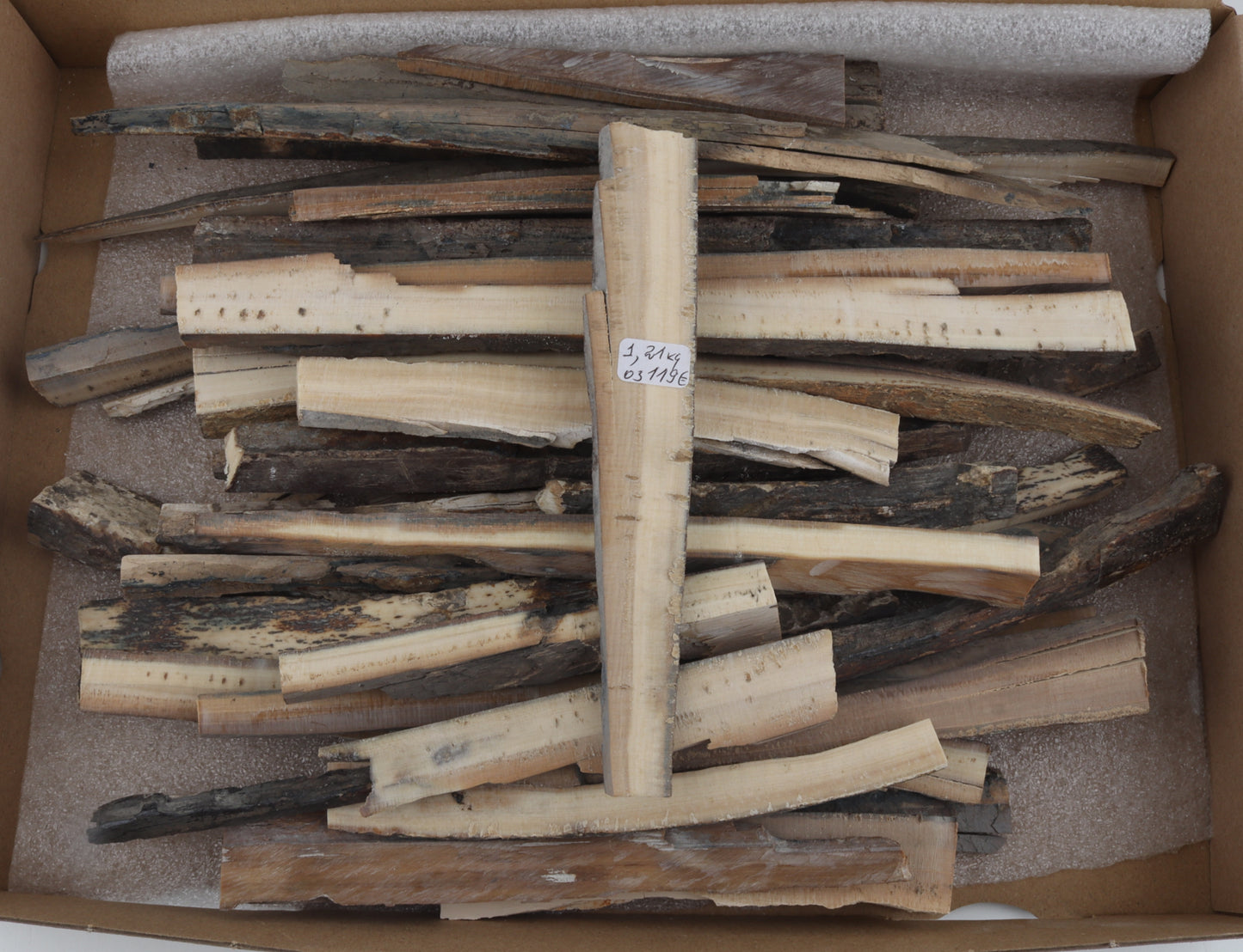 Raw mammoth ivory offcuts