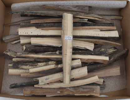 Raw mammoth ivory offcuts