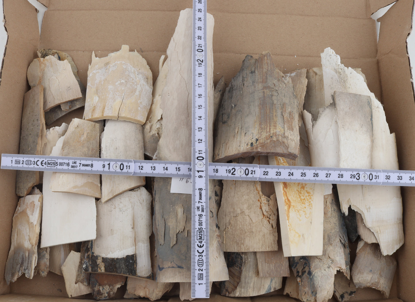 Raw woolly mammoth ivory offcuts