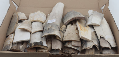 Raw woolly mammoth ivory offcuts