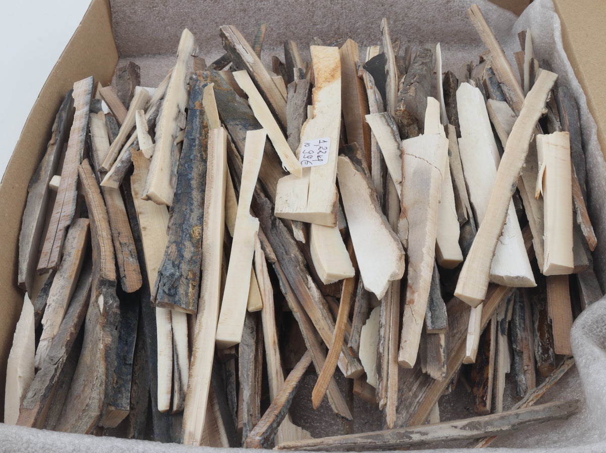 Untreated mammoth ivory offcuts