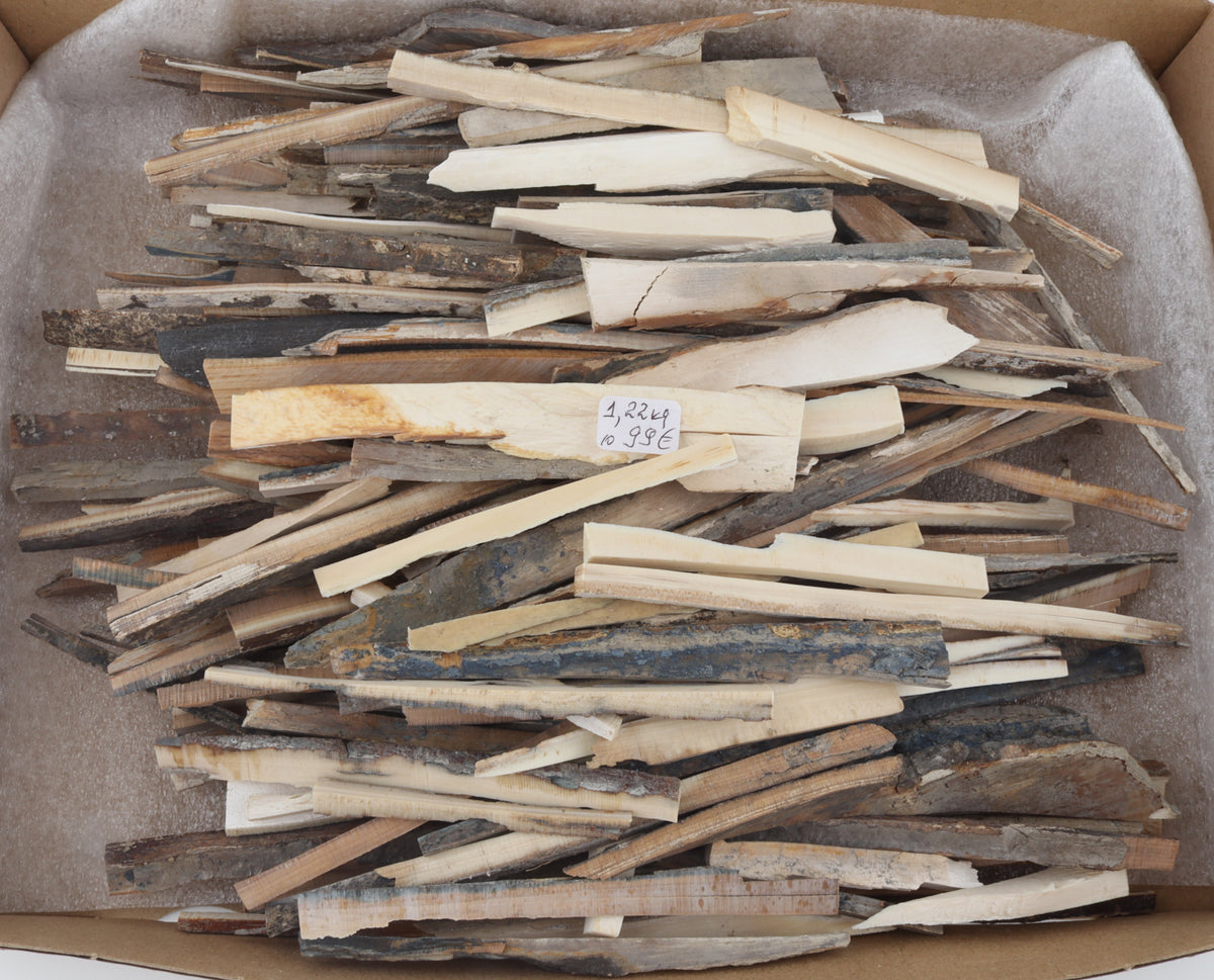 Untreated mammoth ivory offcuts