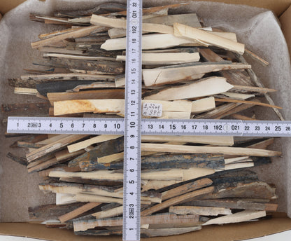Untreated mammoth ivory offcuts