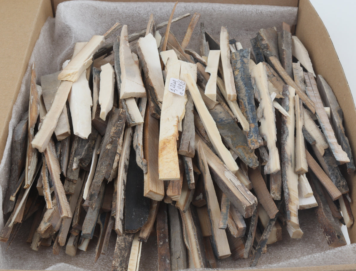 Untreated mammoth ivory offcuts