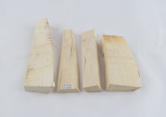 White mammoth ivory pieces