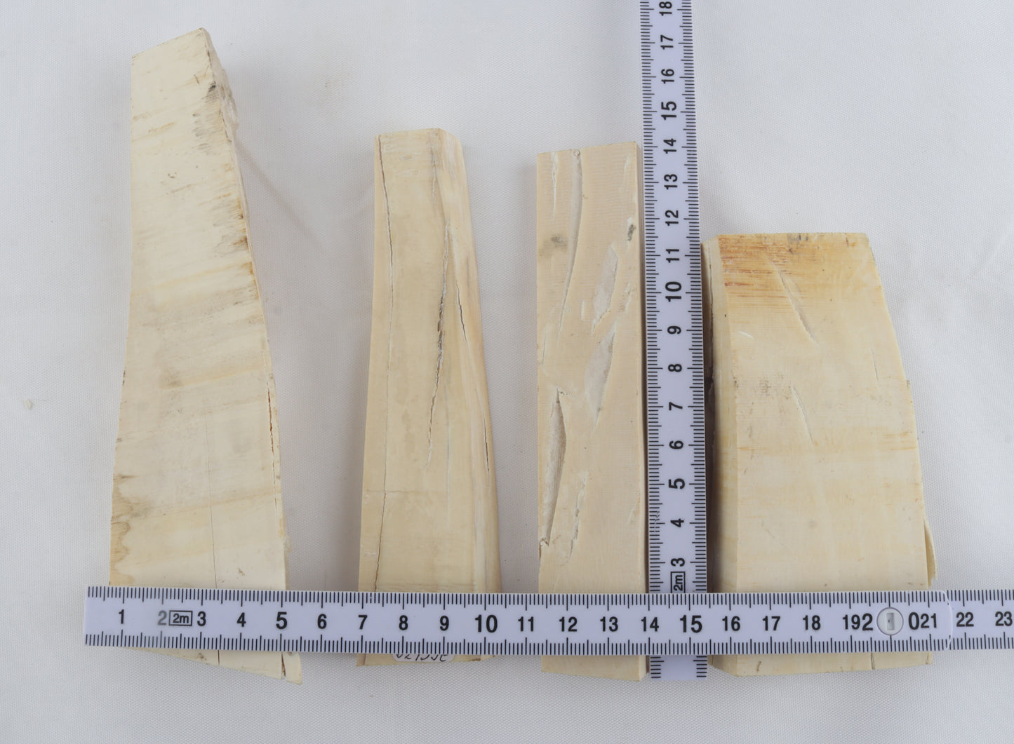 White mammoth ivory pieces