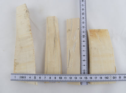 White mammoth ivory pieces