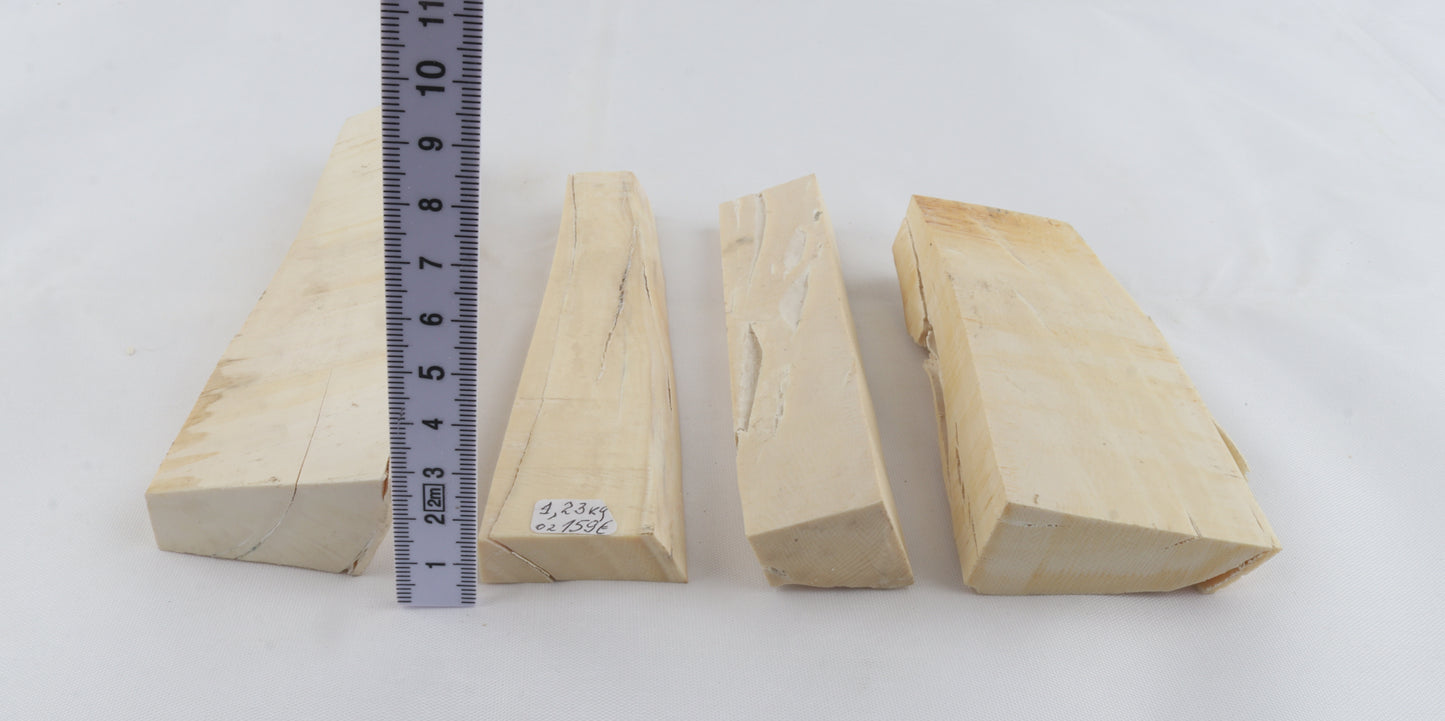 White mammoth ivory pieces