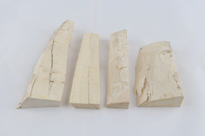 White mammoth ivory pieces