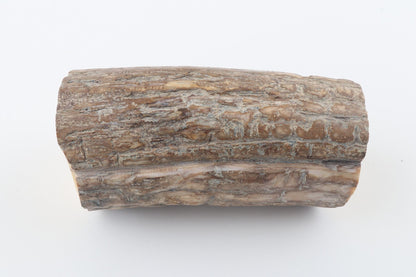 Round mammoth tusk piece