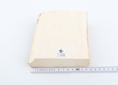 White mammoth ivory segment