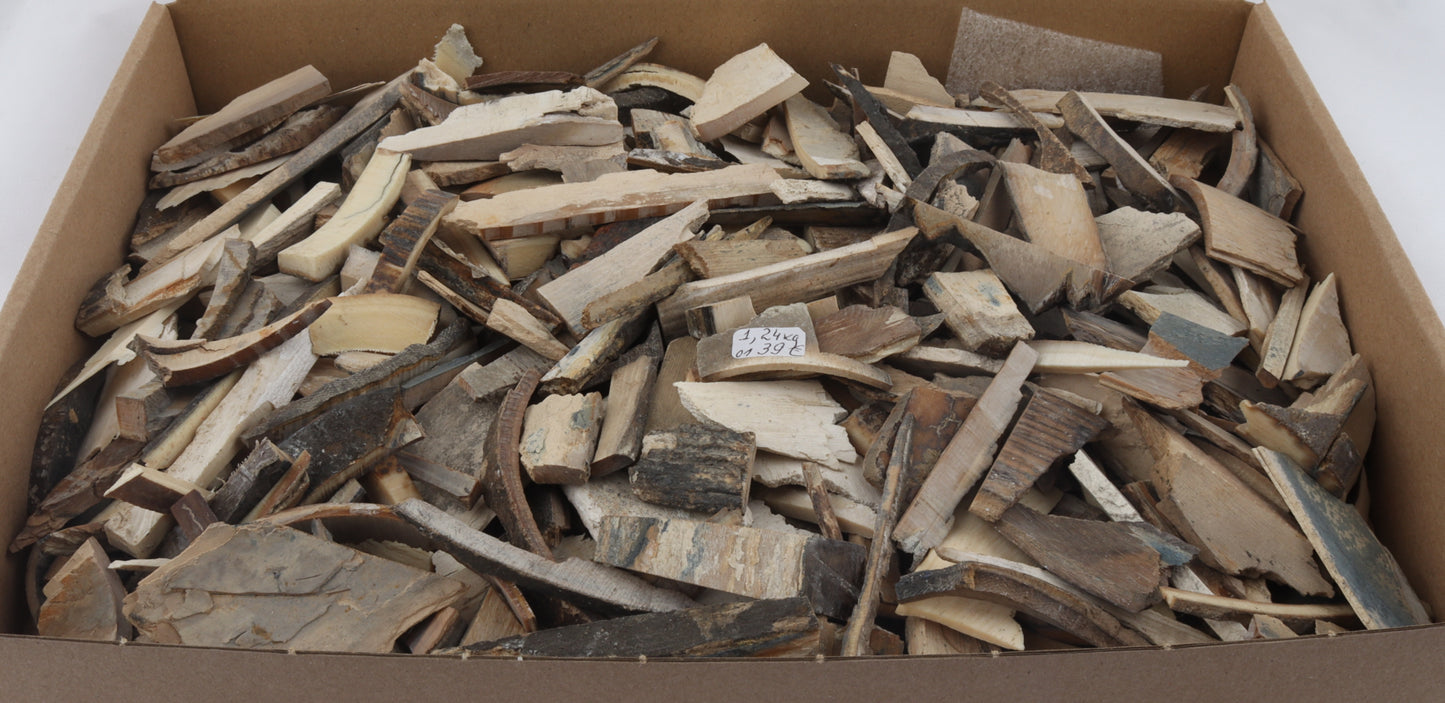 Raw mammoth ivory pieces