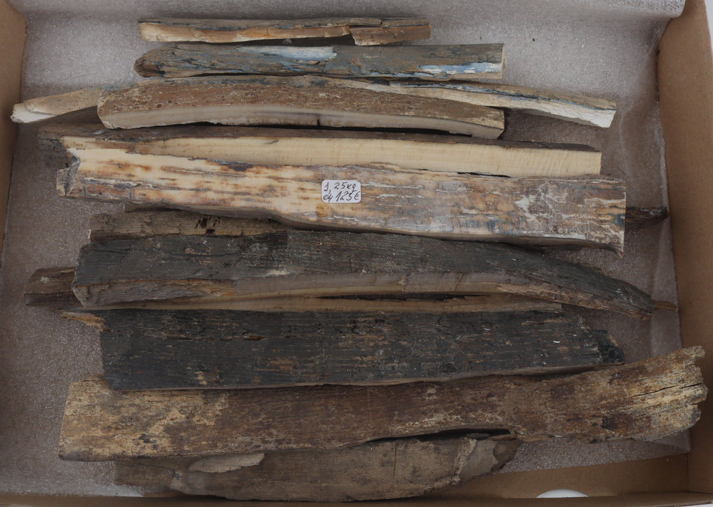 Raw mammoth ivory offcuts