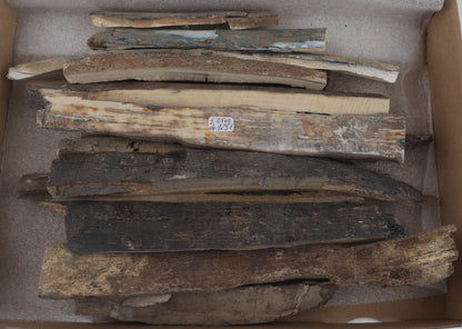 Raw mammoth ivory offcuts